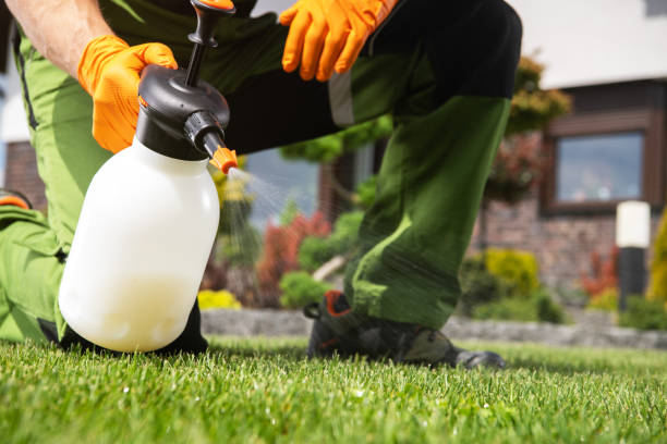Best Wasp Removal Services  in Redgranite, WI