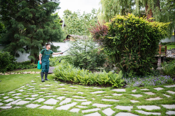 Best Ant Control Services  in Redgranite, WI