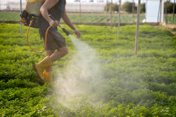 Best Wasp Removal Services  in Redgranite, WI