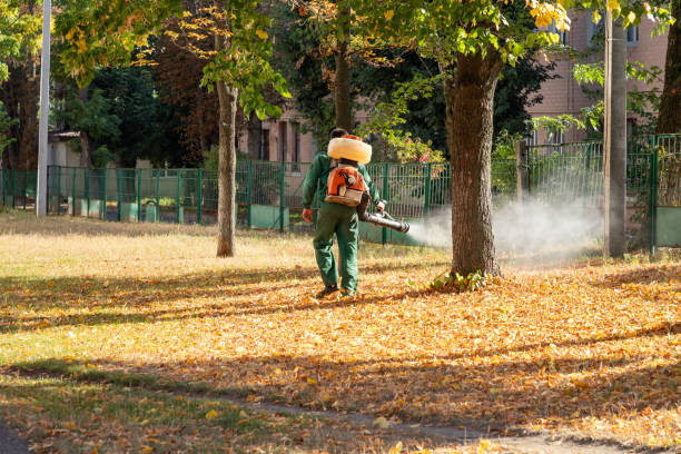 Best Flea Control Services  in Redgranite, WI