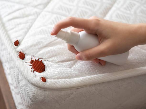Best Cockroach Control Services  in Redgranite, WI