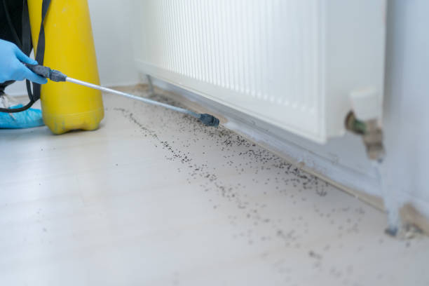 Best Affordable Pest Control Services  in Redgranite, WI