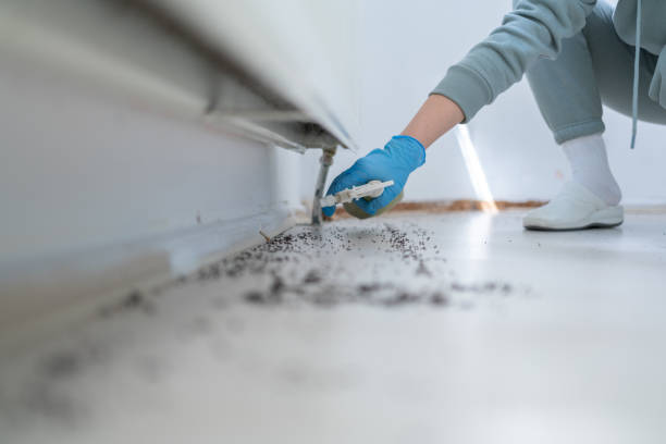 Reliable Redgranite, WI Pest Control Solutions