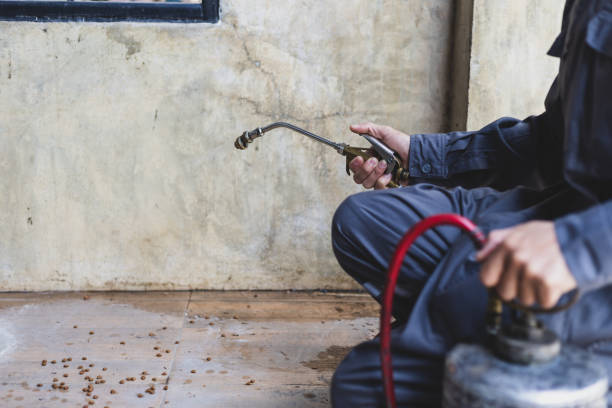 Pest Prevention Services in Redgranite, WI